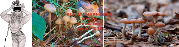 гашишное масло Алзамай