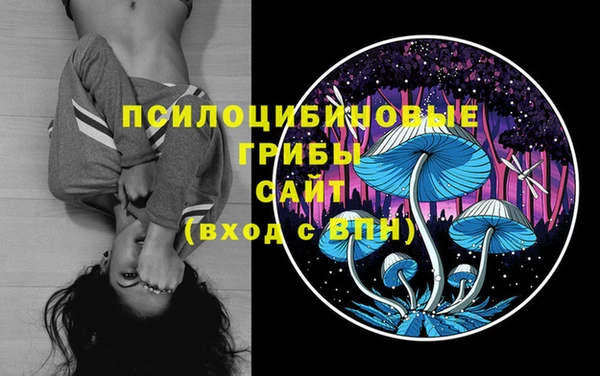 спиды Алексин