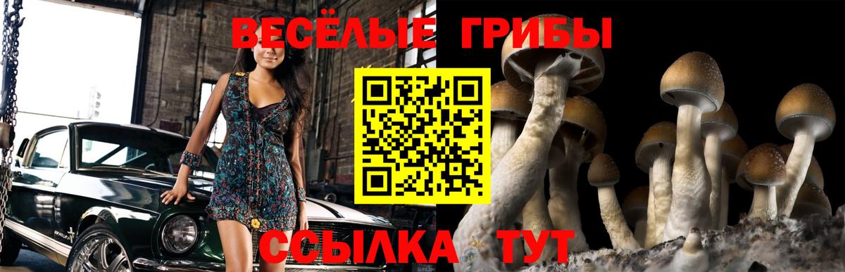 Галлюциногенные грибы MAGIC MUSHROOMS  Вход с VPN  Амурск 